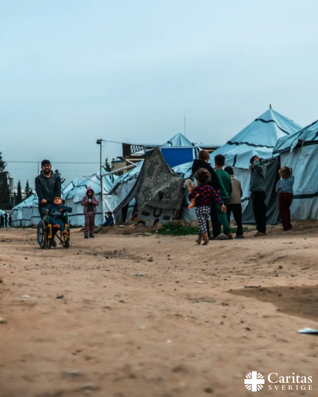 Ny hälsokris i Gaza: Läkare vittnar om växande hot från gnagare